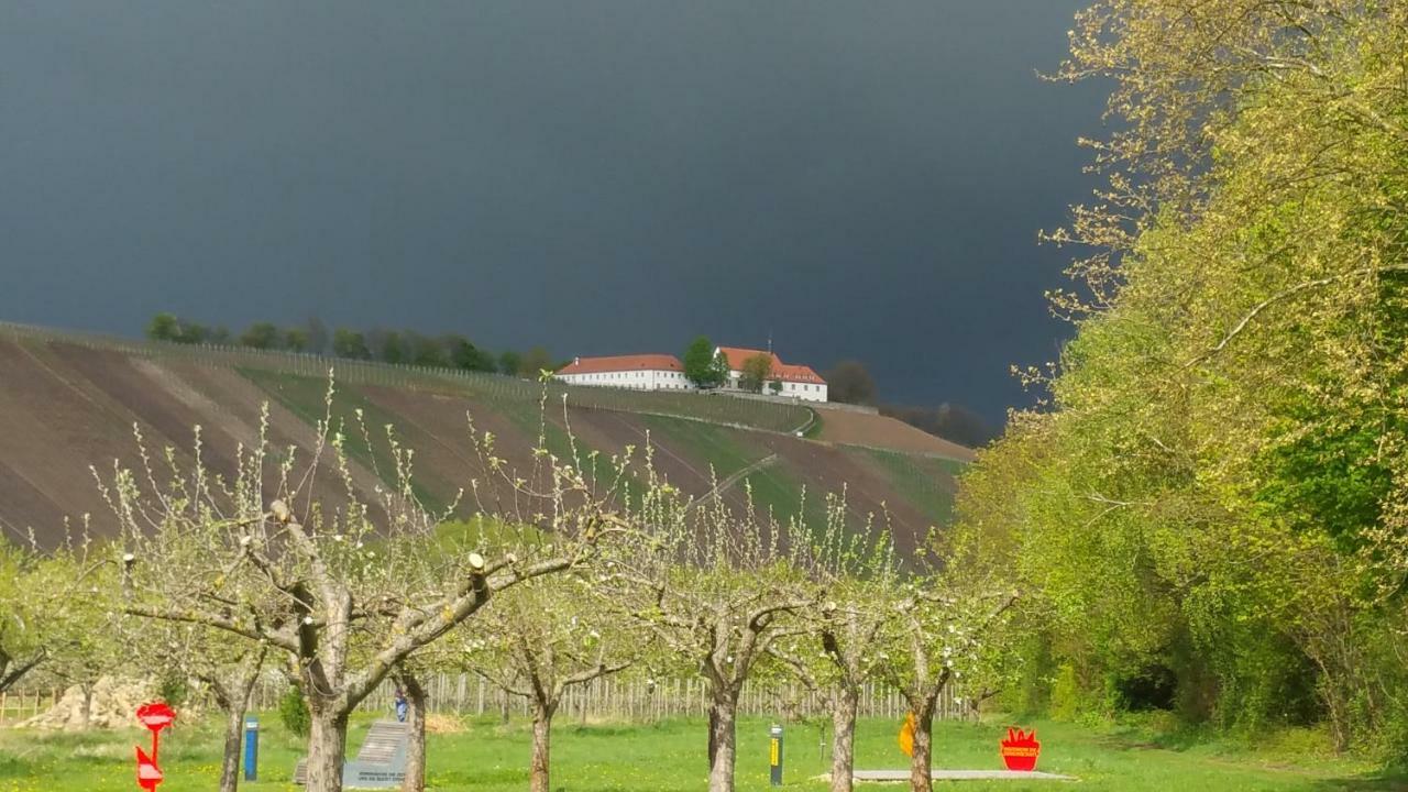 Gasthaus Zur Sonne Nordheim am Main Exteriér fotografie